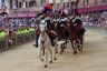 Palio 2 luglio 2019: la fotogallery di Antonio Fraioli