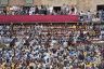 Palio 2 luglio 2019: la fotogallery di Antonio Fraioli