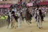 Palio 2 luglio 2019: la fotogallery di Antonio Fraioli