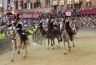 Palio 2 luglio 2019: la fotogallery di Antonio Fraioli