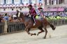 Palio 2 luglio 2019: la fotogallery di Antonio Fraioli