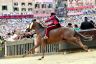 Palio 2 luglio 2019: la fotogallery di Antonio Fraioli