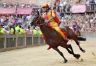 Palio 2 luglio 2019: la fotogallery di Antonio Fraioli