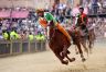 Palio 2 luglio 2019: la fotogallery di Antonio Fraioli