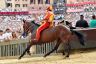 Palio 2 luglio 2019: la fotogallery di Antonio Fraioli