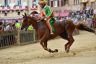 Palio 2 luglio 2019: la fotogallery di Antonio Fraioli