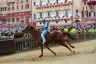 Palio 2 luglio 2019: la fotogallery di Antonio Fraioli