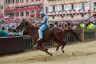 Palio 2 luglio 2019: la fotogallery di Antonio Fraioli