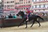 Palio 2 luglio 2019: la fotogallery di Antonio Fraioli