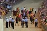 Palio 2 luglio 2019: la fotogallery di Antonio Fraioli