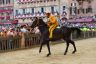 Palio 2 luglio 2019: la fotogallery di Antonio Fraioli