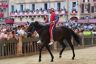 Palio 2 luglio 2019: la fotogallery di Antonio Fraioli