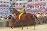 Palio 2 luglio 2019: la fotogallery di Antonio Fraioli