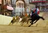 Palio 2 luglio 2019: la fotogallery di Antonio Fraioli