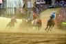 Palio 2 luglio 2019: la fotogallery di Antonio Fraioli