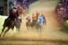 Palio 2 luglio 2019: la fotogallery di Antonio Fraioli