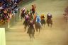 Palio 2 luglio 2019: la fotogallery di Antonio Fraioli