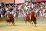 Palio 2 luglio 2019: la fotogallery di Antonio Fraioli