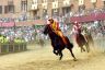 Palio 2 luglio 2019: la fotogallery di Antonio Fraioli