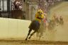 Palio 2 luglio 2019: la fotogallery di Antonio Fraioli