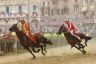 Palio 2 luglio 2019: la fotogallery di Antonio Fraioli