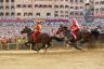 Palio 2 luglio 2019: la fotogallery di Antonio Fraioli