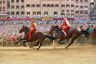 Palio 2 luglio 2019: la fotogallery di Antonio Fraioli