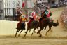 Palio 2 luglio 2019: la fotogallery di Antonio Fraioli