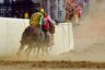 Palio 2 luglio 2019: la fotogallery di Antonio Fraioli