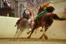 Palio 2 luglio 2019: la fotogallery di Antonio Fraioli