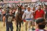 Palio 2 luglio 2019: la fotogallery di Antonio Fraioli