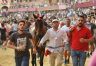 Palio 2 luglio 2019: la fotogallery di Antonio Fraioli