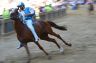 Palio 2 luglio 2019: la fotogallery di Antonio Fraioli