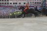 Palio 2 luglio 2019: la fotogallery di Antonio Fraioli