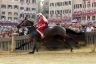 Palio 2 luglio 2019: la fotogallery di Antonio Fraioli