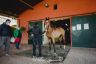 La fotogallery della prima giornata di Previsite