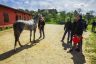 Previsite Albo Cavalli 2019: la fotogallery di Raul Catalani