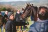 La fotogallery delle Previsite di oggi