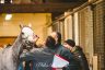 La fotogallery delle Previsite di oggi
