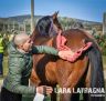 Previsite Albo Cavalli 2022: ecco la seconda fotogallery di Lara Latragna