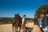 Palio Straordinario: la fotogallery delle Previsite