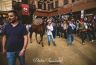 Palio Straordinario: la gallery della prima prova