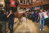Palio Straordinario: la gallery della prima prova
