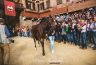 Palio Straordinario: la gallery della prima prova