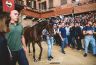 Palio Straordinario: la gallery della prima prova
