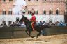 Palio Straordinario: la gallery della prima prova