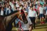 Palio 2 luglio 2019: la gallery della prima e della seconda prova