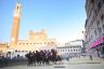 Palio 2 luglio 2019: la gallery della prima e della seconda prova
