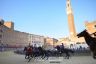 Palio 2 luglio 2019: la gallery della prima e della seconda prova