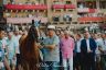Palio 2 luglio 2019: la gallery della prima e della seconda prova